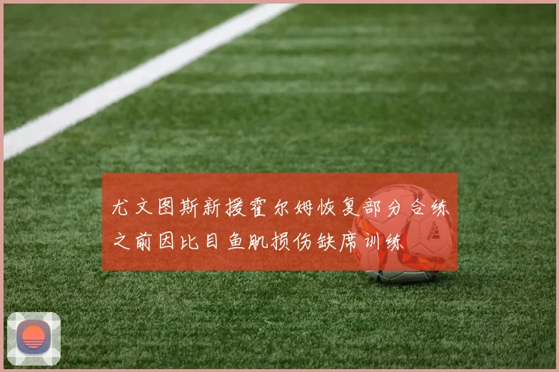 尤文图斯新援霍尔姆恢复部分合练之前因比目鱼肌损伤缺席训练